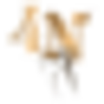 4N Logo