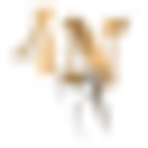 4N Logo