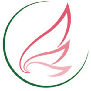 Angel Minerals Logo