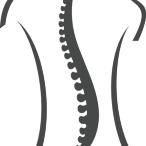 Backlaxx Logo