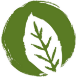 Inno Nature Logo