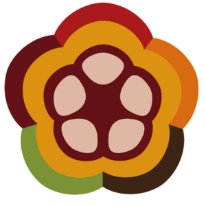 Kakaomischa Logo