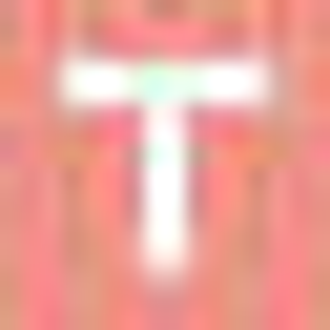 TummyTox Logo